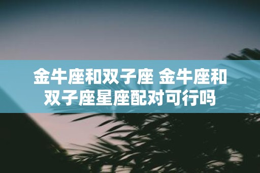 金牛座和双子座 金牛座和双子座星座配对可行吗