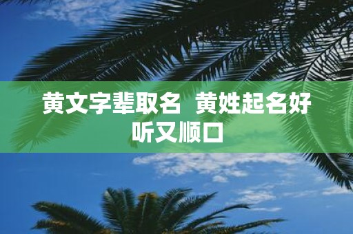 黄文字辈取名 黄姓起名好听又顺口