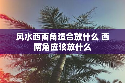 风水西南角适合放什么 西南角应该放什么
