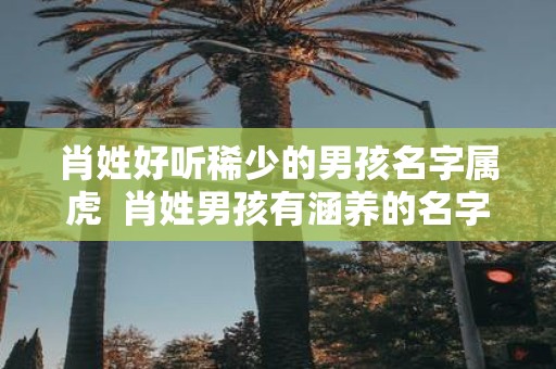 肖姓好听稀少的男孩名字属虎 肖姓男孩有涵养的名字