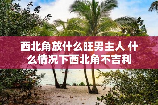 西北角放什么旺男主人 什么情况下西北角不吉利