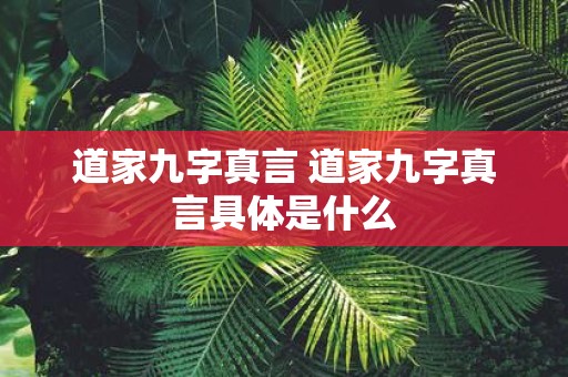道家九字真言 道家九字真言具体是什么