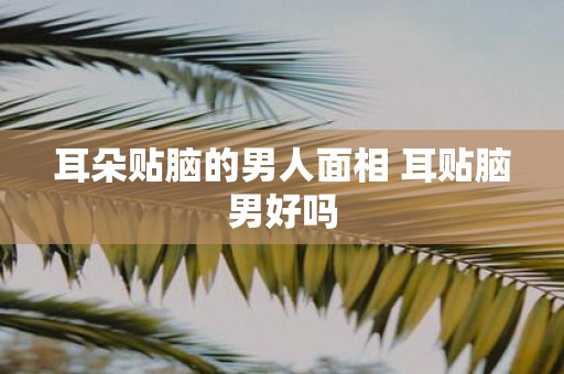 耳朵贴脑的男人面相 耳贴脑男好吗