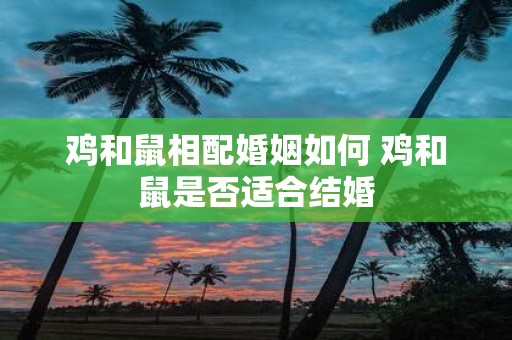 鸡和鼠相配婚姻如何 鸡和鼠是否适合结婚