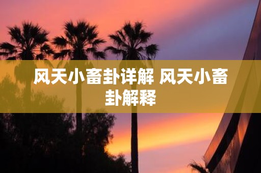 风天小畜卦详解 风天小畜卦解释