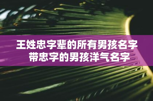 王姓忠字辈的所有男孩名字 带忠字的男孩洋气名字