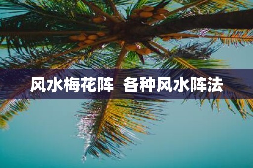 风水梅花阵 各种风水阵法