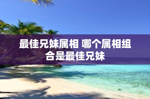 最佳兄妹属相 哪个属相组合是最佳兄妹