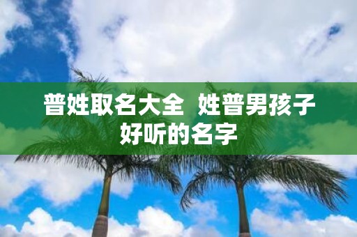 普姓取名大全 姓普男孩子好听的名字