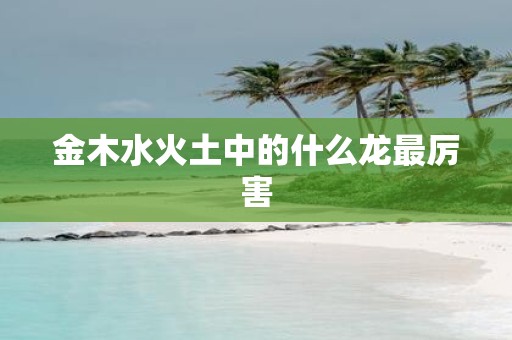 金木水火土中的什么龙最厉害
