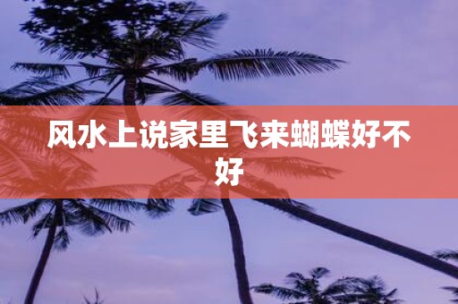 风水上说家里飞来蝴蝶好不好