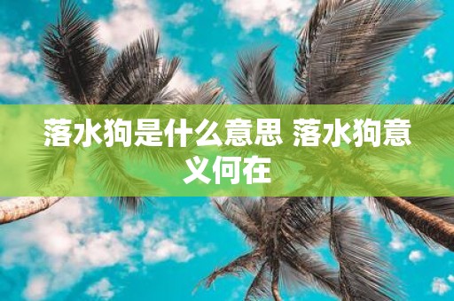 落水狗是什么意思 落水狗意义何在