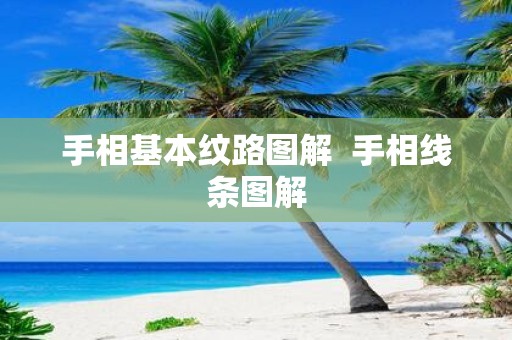 手相基本纹路图解 手相线条图解
