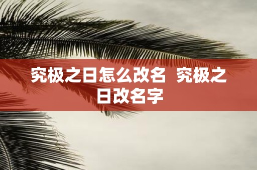 究极之日怎么改名 究极之日改名字