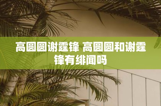 高圆圆谢霆锋 高圆圆和谢霆锋有绯闻吗