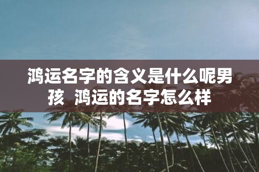 鸿运名字的含义是什么呢男孩 鸿运的名字怎么样