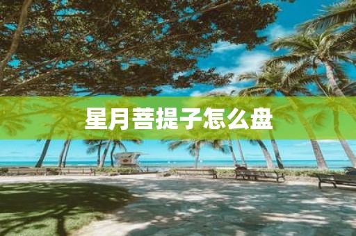 星月菩提子怎么盘