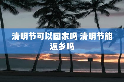 清明节可以回家吗 清明节能返乡吗