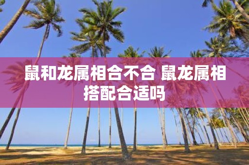 鼠和龙属相合不合 鼠龙属相搭配合适吗