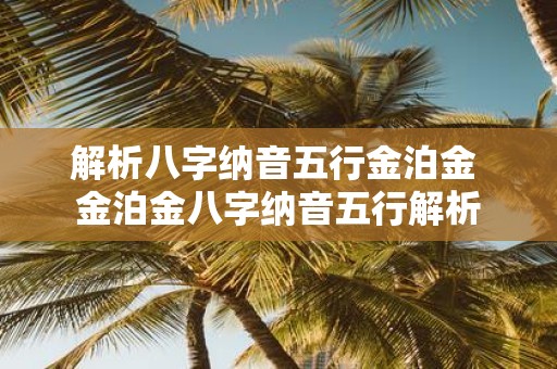 解析八字纳音五行金泊金 金泊金八字纳音五行解析