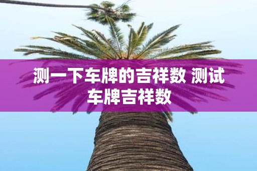 测一下车牌的吉祥数 测试车牌吉祥数