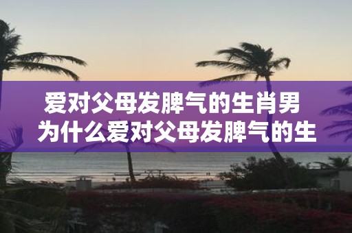 爱对父母发脾气的生肖男 为什么爱对父母发脾气的生肖男