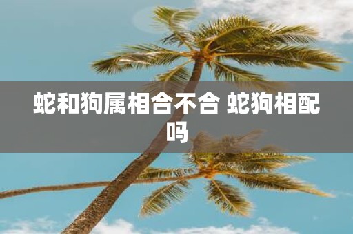 蛇和狗属相合不合 蛇狗相配吗