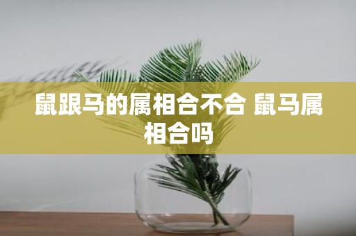 鼠跟马的属相合不合 鼠马属相合吗
