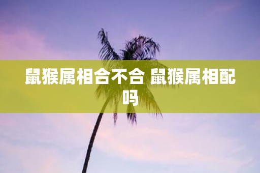 鼠猴属相合不合 鼠猴属相配吗