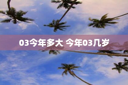 03今年多大 今年03几岁