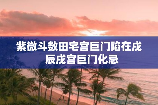 紫微斗数田宅宫巨门陷在戌 辰戌宫巨门化忌