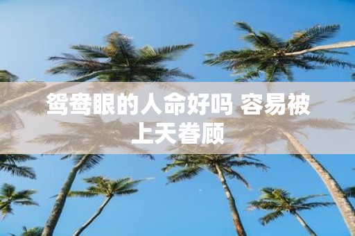 鸳鸯眼的人命好吗 容易被上天眷顾