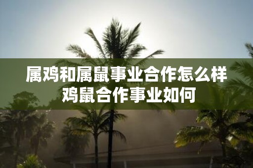 属鸡和属鼠事业合作怎么样 鸡鼠合作事业如何