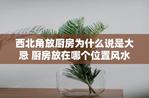 西北角放厨房为什么说是大忌 厨房放在哪个位置风水好