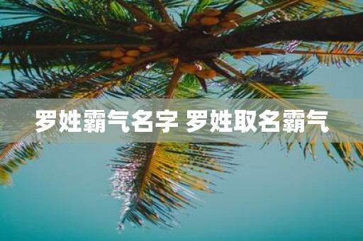 罗姓霸气名字 罗姓取名霸气