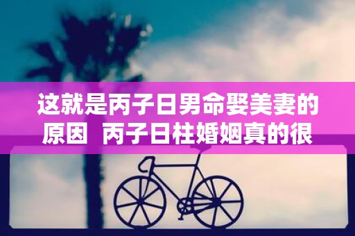 这就是丙子日男命娶美妻的原因 丙子日柱婚姻真的很惨