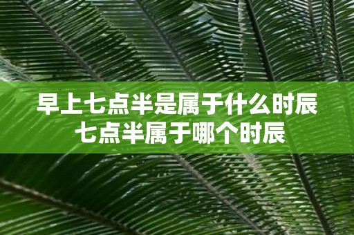 早上七点半是属于什么时辰 七点半属于哪个时辰