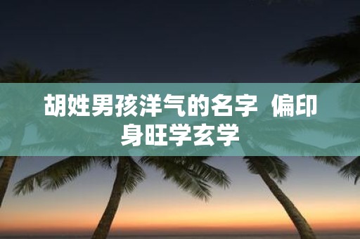 胡姓男孩洋气的名字 偏印身旺学玄学