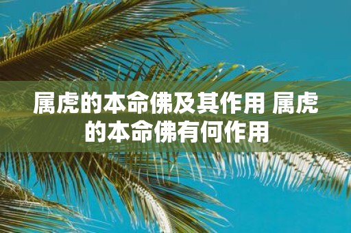 属虎的本命佛及其作用 属虎的本命佛有何作用