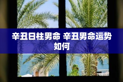 辛丑日柱男命 辛丑男命运势如何