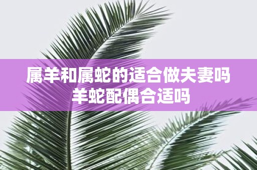 属羊和属蛇的适合做夫妻吗 羊蛇配偶合适吗