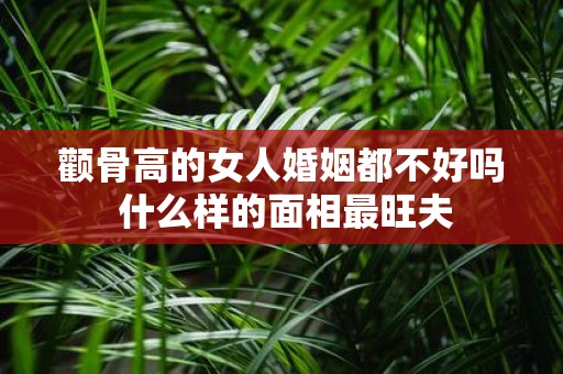颧骨高的女人婚姻都不好吗 什么样的面相最旺夫