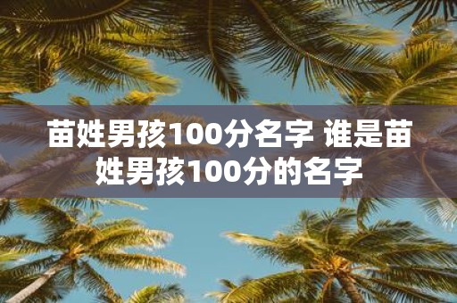苗姓男孩100分名字 谁是苗姓男孩100分的名字