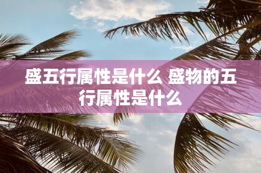 盛五行属性是什么 盛物的五行属性是什么