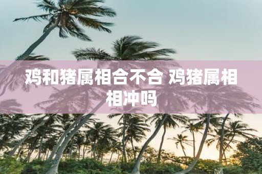 鸡和猪属相合不合 鸡猪属相相冲吗