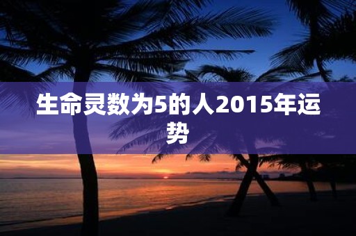 生命灵数为5的人2015年运势