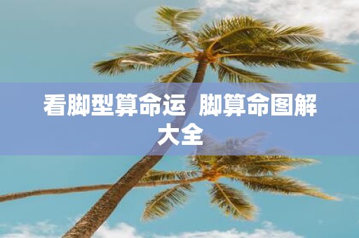 看脚型算命运 脚算命图解大全