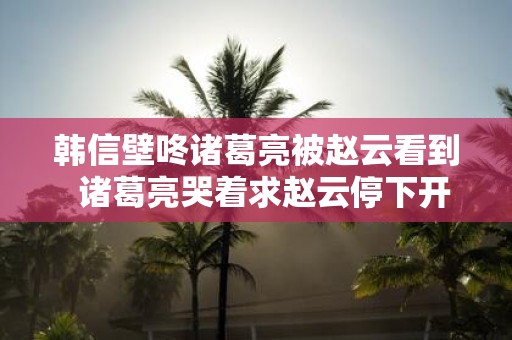 韩信壁咚诸葛亮被赵云看到 诸葛亮哭着求赵云停下开车