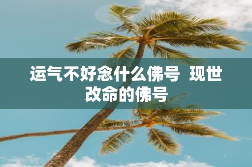 运气不好念什么佛号 现世改命的佛号