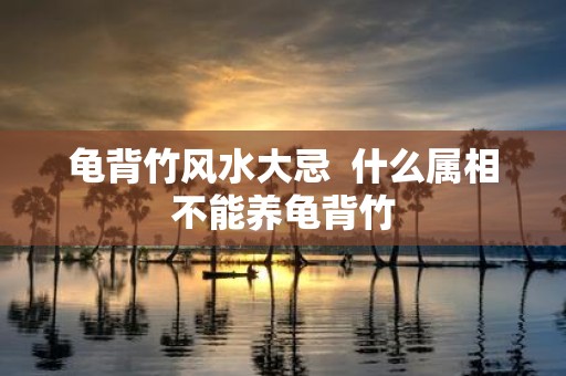 龟背竹风水大忌 什么属相不能养龟背竹